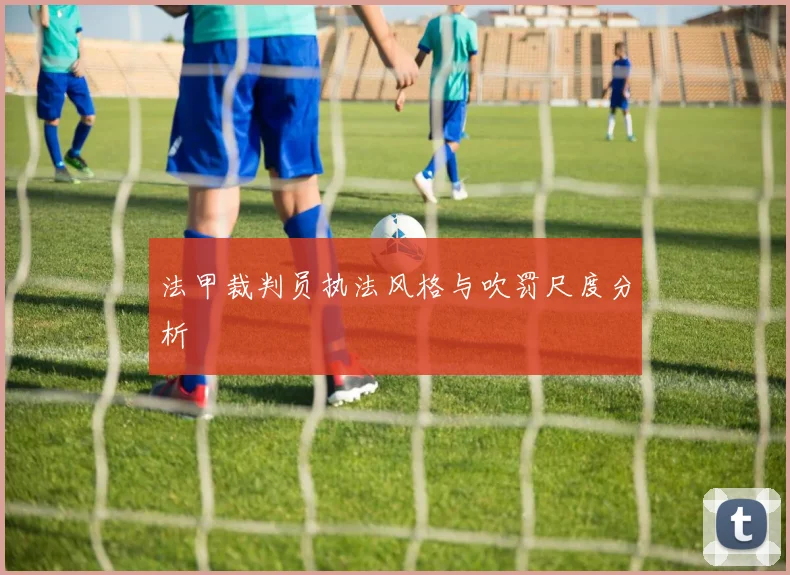 法甲裁判员执法风格与吹罚尺度分析