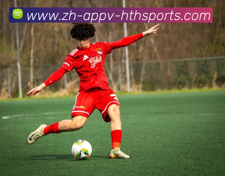 多媒体互动体验